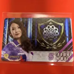 ダーツライブカード 千葉幸奈 ダーツ祭り