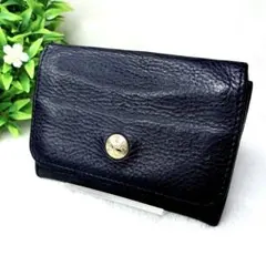 イルビゾンテ IL BISONTE カードケース 名刺入れ 本革 イタリア