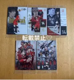 バレーボール男子日本代表 ツインウエハース 2026 石川祐希 集合