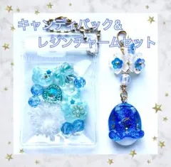 キャンディバック&レジンチャーム 2こセット No02 花 クマ 雪 月 ハート