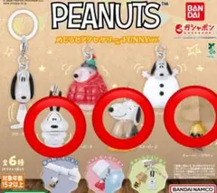 PEANUTS めじるしアクセサリー FUNNY VER スヌーピー B D