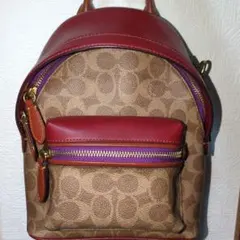 ☆【極美品】COACH ミニリュック 花柄 レザー ローズ柄 ゴールド金具 