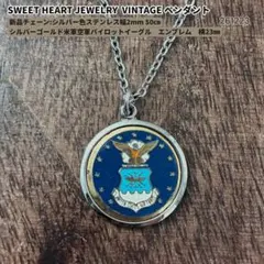 ☆USAエアフォース・空軍ミリタリ–ドックタグペンダントネックレス 