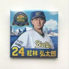 シュンスケ様 リクエスト 2点 まとめ商品