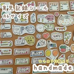 ʜᴀɴᴅᴍᴀᴅᴇ育児記録2:マタニティフレークシール　母子手帳 育児 A6
