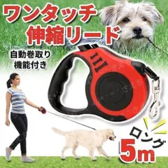 ペット用リード 5m 伸縮リード 巻き取り 赤 ハーネス 自動伸縮 犬 猫 散歩のサムネイル