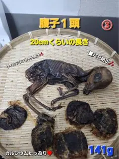 最終【特別商品限定③】鹿　腹子　丸ごと1頭ジャーキー　激レア　胎盤付き　1頭分