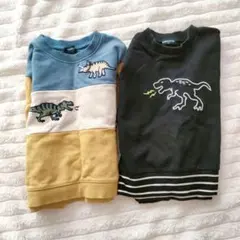 【クレードスコープ】恐竜トレーナー　裏毛　2枚組　110　刺繍　男の子　人気