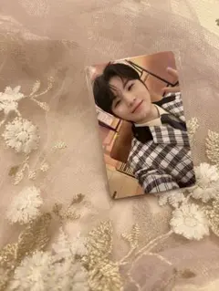 ウィバース特典 FML ウジ トレカ