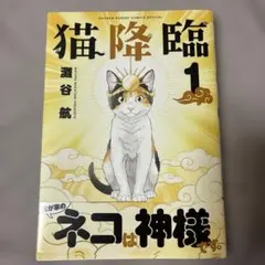 雷轟と猫 賢者避行 幸も不幸も最適量 3冊セット - メルカリ