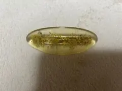 Item thumbnail for item e2ee2b52-1d29-40e4-bcde-4c7a20206184