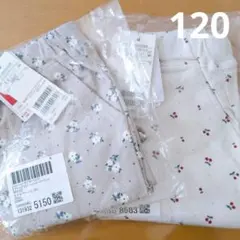 【新品】 GIRLS フリル ショートパンツ 120 2枚セット プティプラ