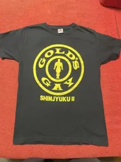 ジュラシック木澤　ゴールドジムコラボTシャツ　 2枚セット GOLD'S GYM × IRON NERVE COLLABORATION T-SHIRTS JURASSIC EDITION