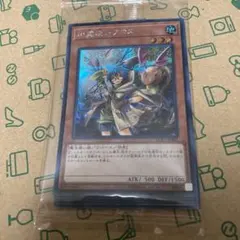 遊戯王　霊使い　シークレットレアセット　六属性プロテクターセット付属物