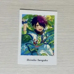 仙石忍　あんスタ　ぱしゃこれ　通常　600枚セット あんスタ 仙石忍 ぱしゃっつ ぱしゃこれ メタル クリアの通販 by