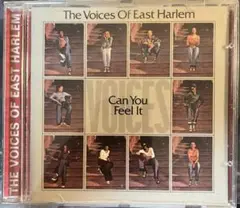 VOICES OF EAST HARLEM / Can You Feel It