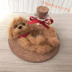 羊毛フェルト トイプードル うちの子メモリアル小瓶