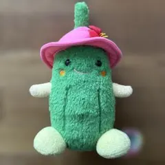 ハローキティ 沖縄限定 ゴーヤ ぬいぐるみ - メルカリ