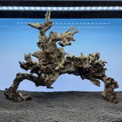 MSW-7716 自立天然流木 1点物枝流木 90cm水槽用 アクアリウム - メルカリ