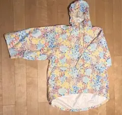 Item thumbnail for item 36c663db-5a30-447d-9edf-c3818653e912