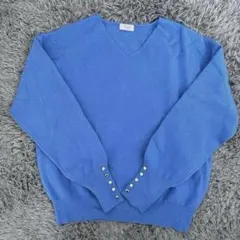 テチチテラス 青 Vネック ニット　セーター　Ｆサイズ　ブルー