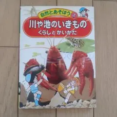 Item thumbnail for item e2c46afd-76f8-4cb6-a805-44a0dd26a9e9