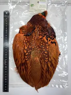 Item thumbnail for item 191a2318-e266-4d6f-953f-a530eb56264d