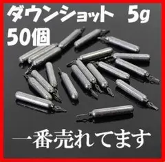 ダウンショット シンカー 5g 50個入り 釣り フック フリーリグ