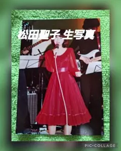 松田聖子 コンサートチケット半券 2枚セット 1983年 昭和レトロ - メルカリ