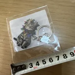猫のアクリルキーホルダー　キジトラ