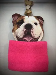 Item thumbnail for item 285770fc-8d9d-4b71-8b42-e86b71316d06