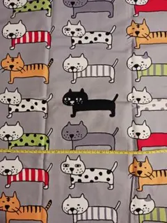 コットンこばやし生地