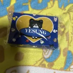 SUPER JUNIOR FANLIGHTアクセサリー イェソン YESUNG