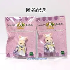 Item thumbnail for item 873ecd75-0bee-443c-b019-8507e1dff535