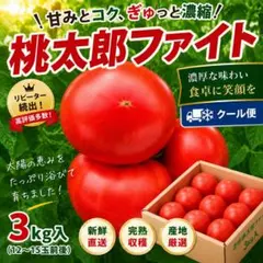 完熟桃太郎ファイトトマト❣️3キロクール便発送❣️濃厚で甘く果肉の締まったトマト❣️のサムネイル