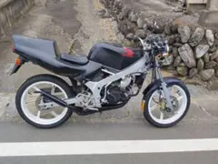HONDA NS-1 ネイキッド仕様のサムネイル