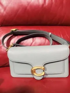 未使用・2026年1月購入】COACH タビー20 TRUE PINK 正規品 - メルカリ
