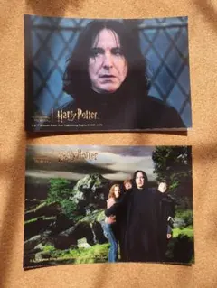 ハリーポッター スネイプ ブロマイド コレクション 1パックセット—B