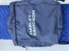 Item thumbnail for item 2a77dfd6-7119-47b4-a0c1-4455c907b56c