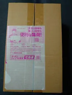 ［未開封］ポケカ 20th Anniversary スペシャルパック コンセプトパック「ポケットモンスターカードゲーム 拡張パック