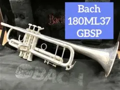2026年最新】トランペット BACH 180mlの人気アイテム - メルカリ