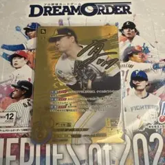 ドリームオーダー HEROSof2025 有原航平SSPP