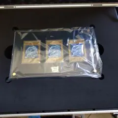 遊戯王　海馬セット　青眼の白龍のみ