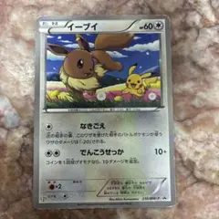 ポケモンカード イーブイ 235/BW-P 2枚セット - メルカリ