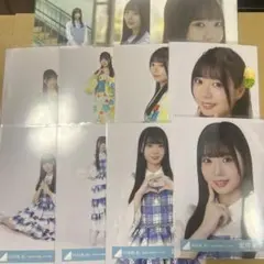 日向坂46 生写真「五期生LIVE」 キービジュアル 坂井新奈 セミコンプ