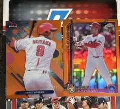 Item thumbnail for item aa9e6c9b-73f1-4794-9218-d1a0fcade5bd