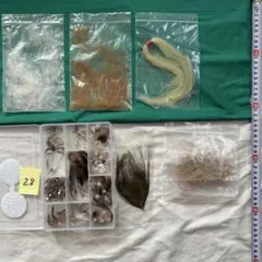 Item thumbnail for item 6f74a7fb-c847-4255-8e75-7979f3b7d5ce