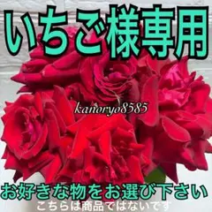いちご様専用