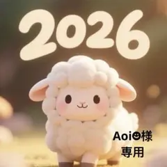 Aoi☻様専用4点