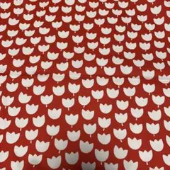 チューリップ　花柄　オックス　２m